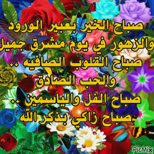 صورة متحركة عربية GIF: صباح الخير صباح الخير — صباح الخير، صباح، الخير — للمشاركة على واتساب