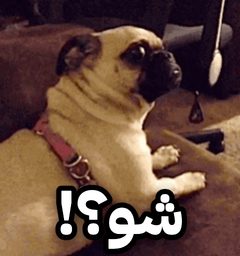 صورة متحركة عربية GIF: شو مضحك مضحكة — شو، مضحك، مضحكة — للمشاركة على واتساب