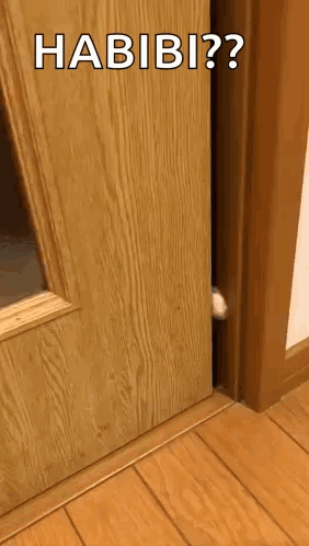 صورة متحركة عربية GIF: حبيبي حب — حبيبي، حب، habibi — للمشاركة على واتساب