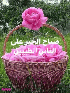 صورة متحركة عربية GIF: صباح الخير basket flower — صباح الخير، basket، flower — للمشاركة على واتساب