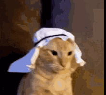 صورة متحركة عربية GIF: حبيبي حب — حبيبي، حب، habibi — للمشاركة على واتساب