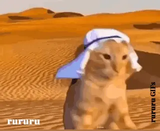 صورة متحركة عربية GIF: حبيبي حب — للمشاركة على واتساب